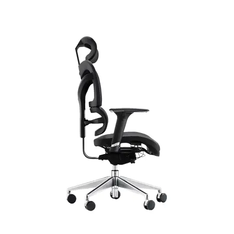 Dorsum - Executive Ergonomic Mesh Chair